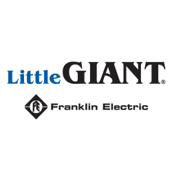 Little Giant