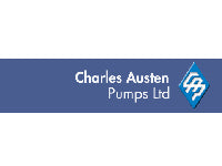 Charles Austen Pumps