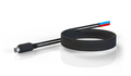 Blue Diamond S12-002 Temperature Sensor with DIN plug and dual thermistor probes